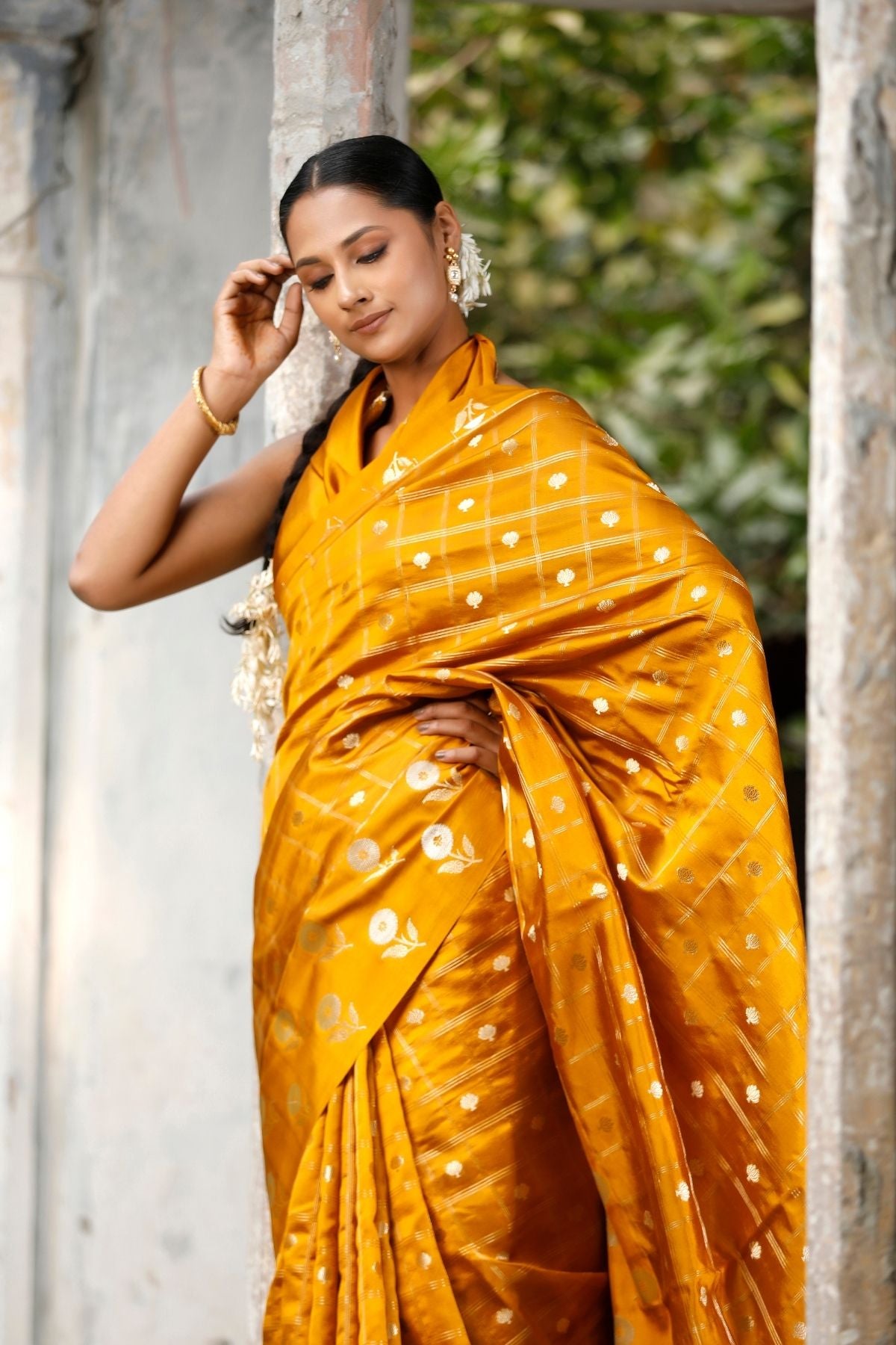 Mustard Color Mango Silk Saree