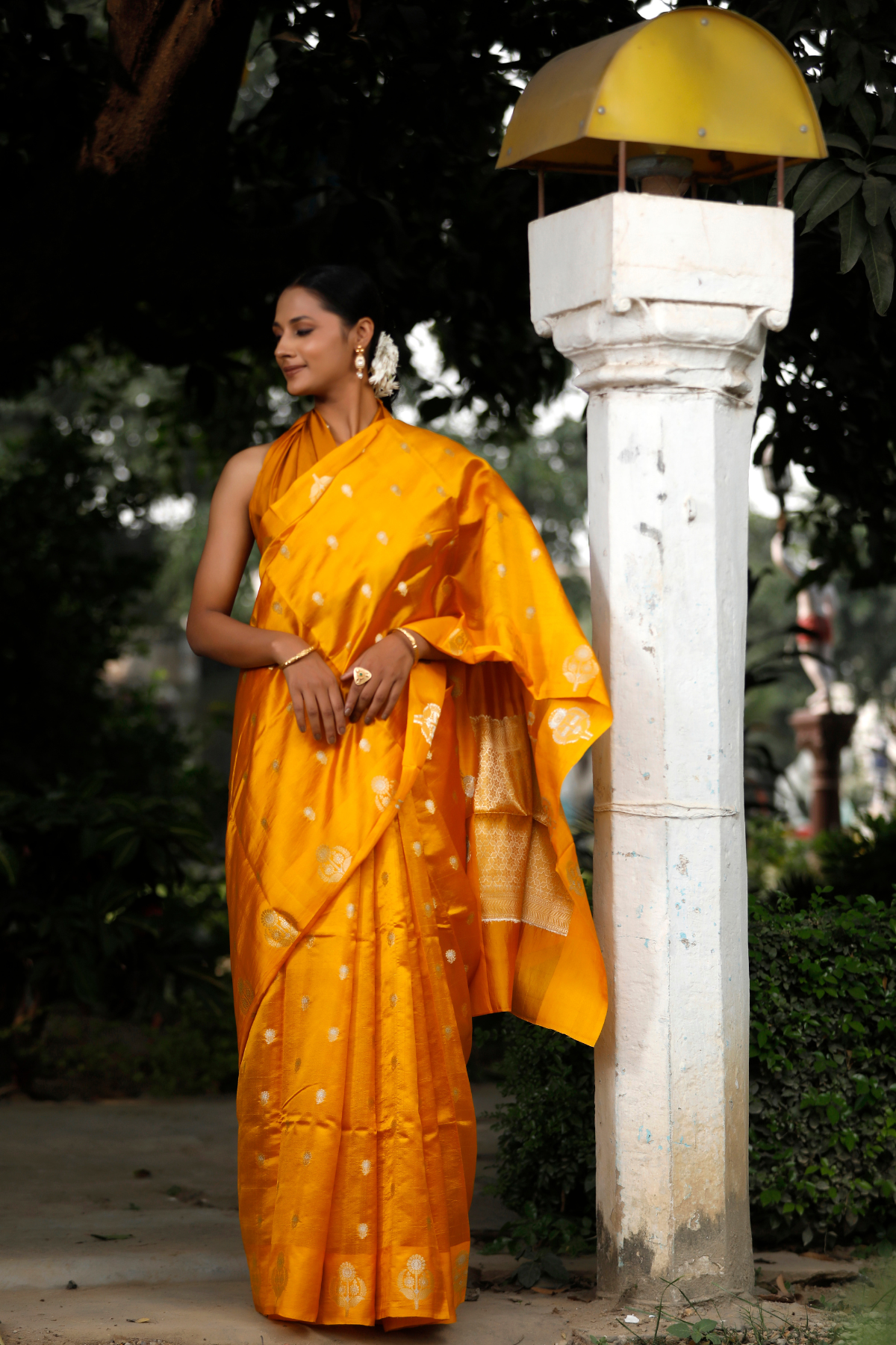 Mustard Color Mango Silk Saree