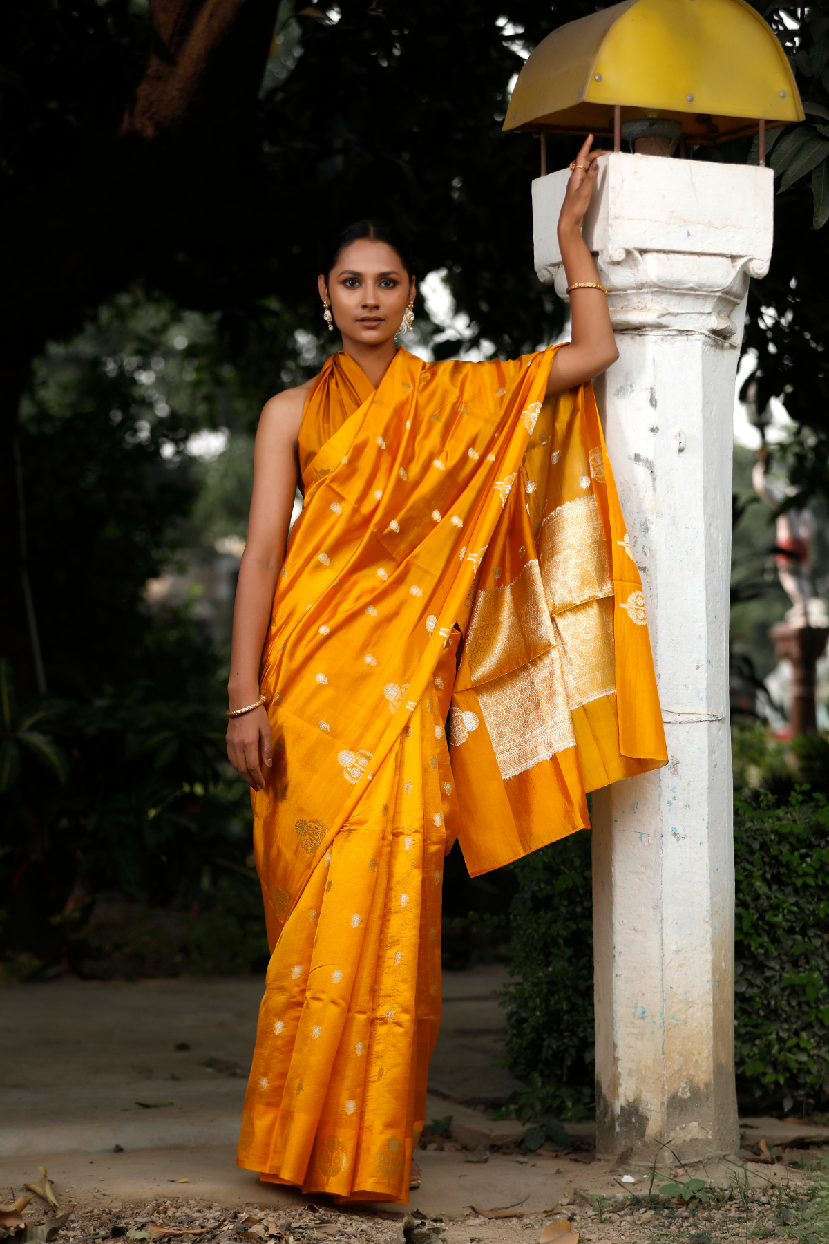 Mustard Color Mango Silk Saree
