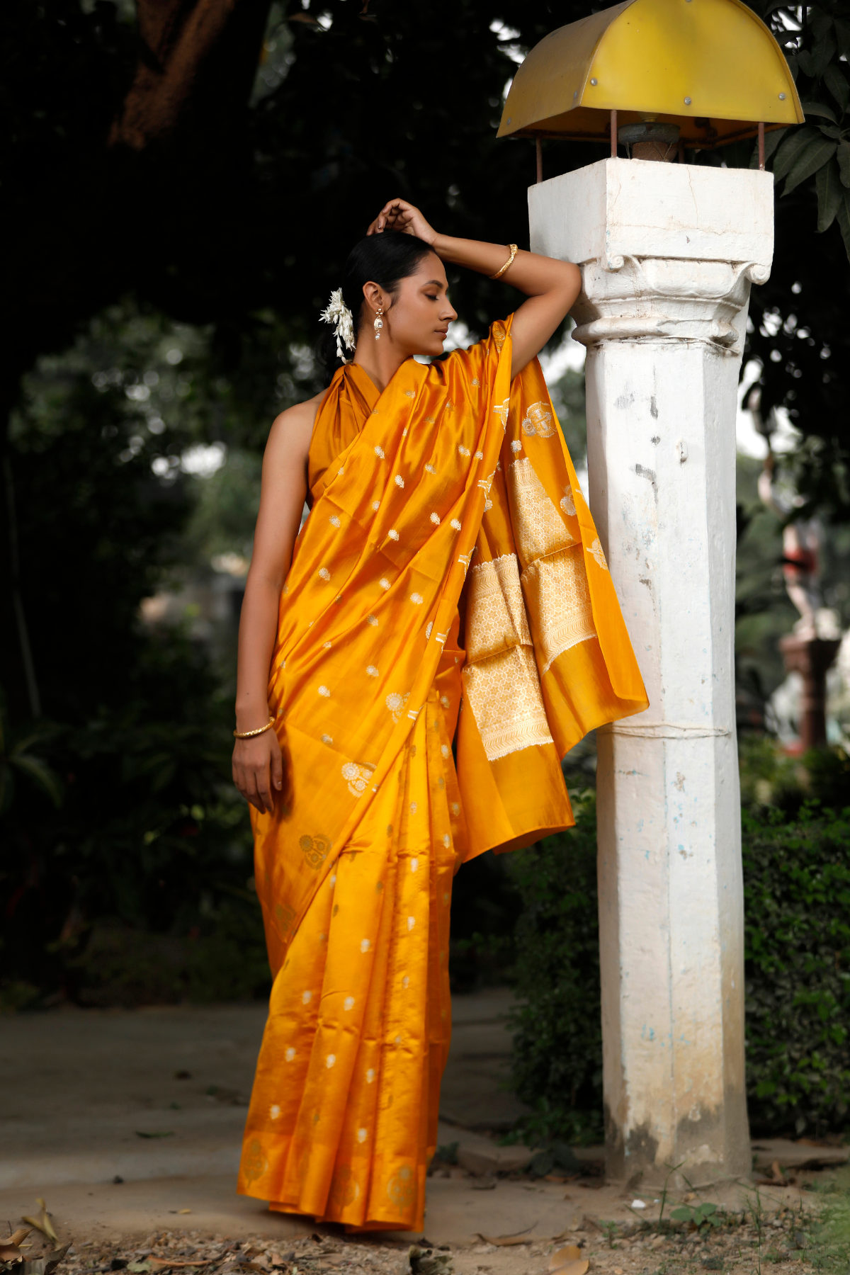 Mustard Color Mango Silk Saree