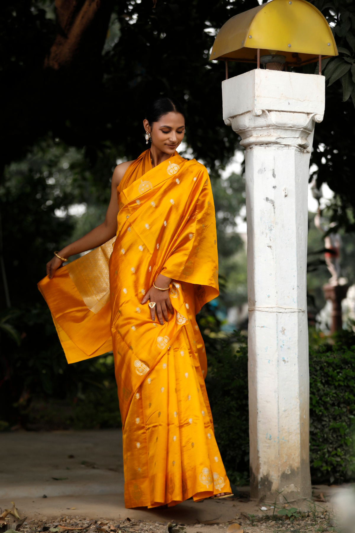 Mustard Color Mango Silk Saree