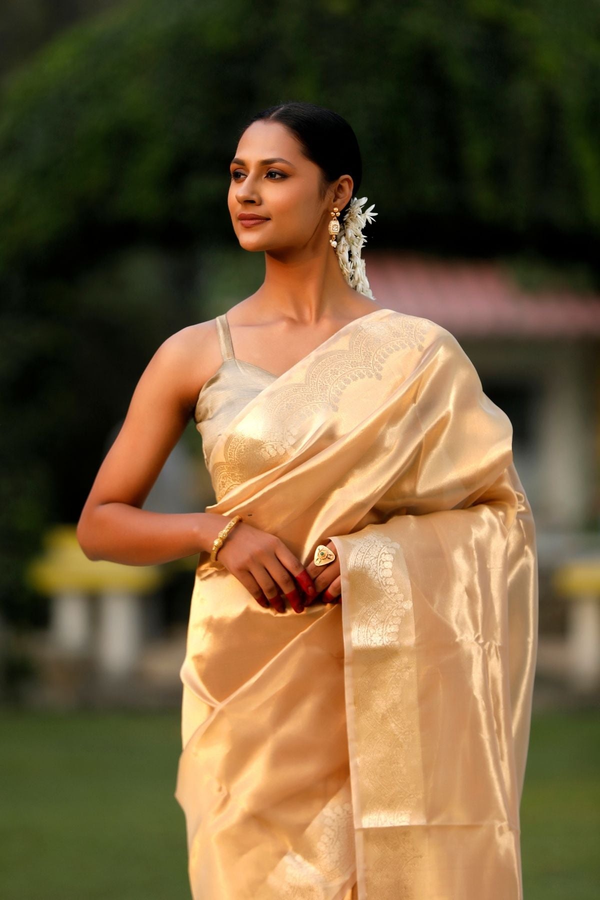 Gold Tissue Silk Saree