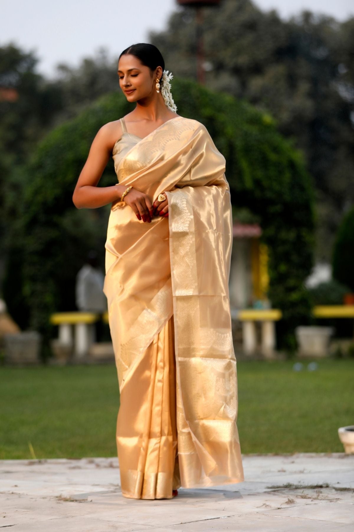 Gold Tissue Silk Saree