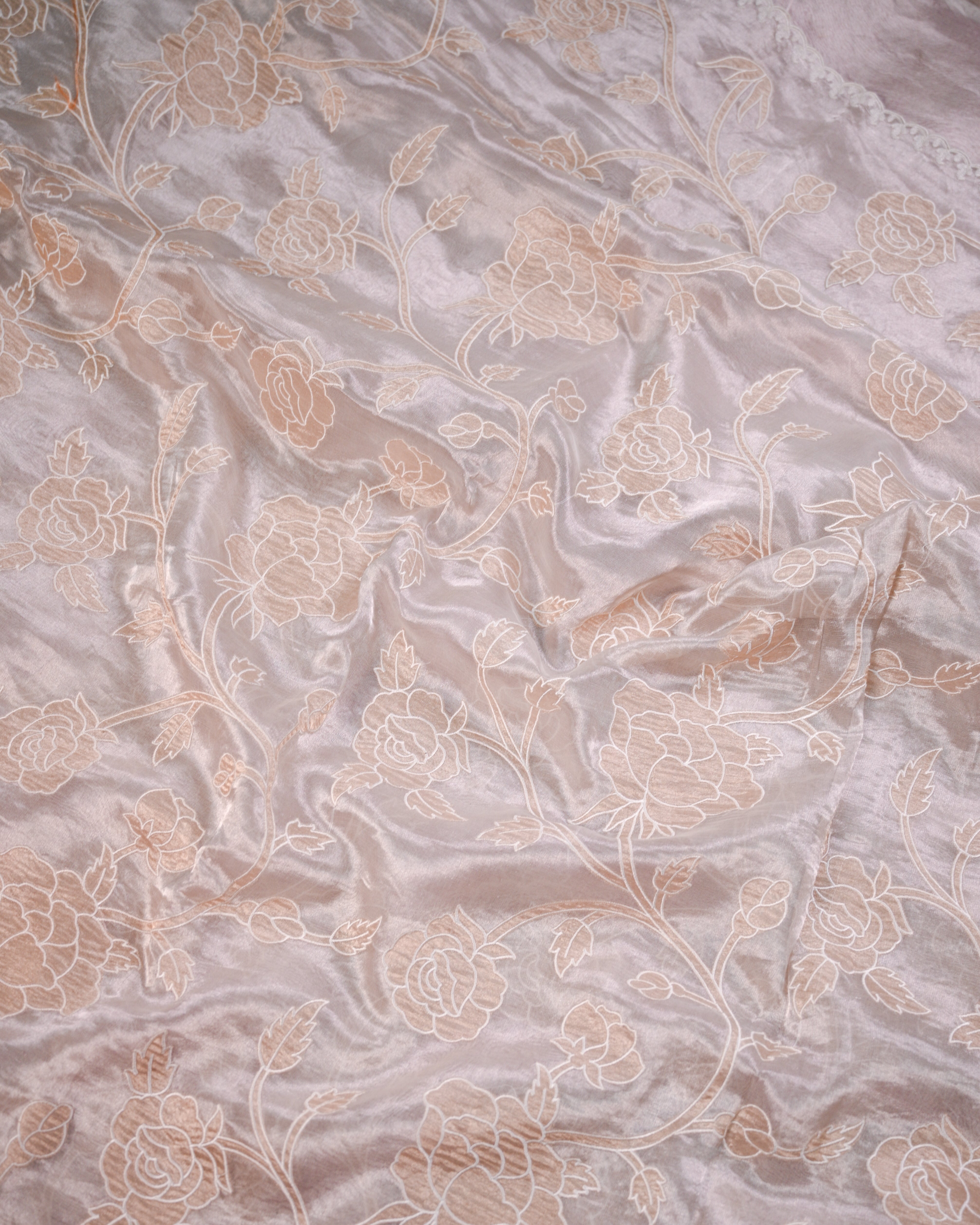 Tissue Silk Saree with Appliqué Work and Brocade Blouse