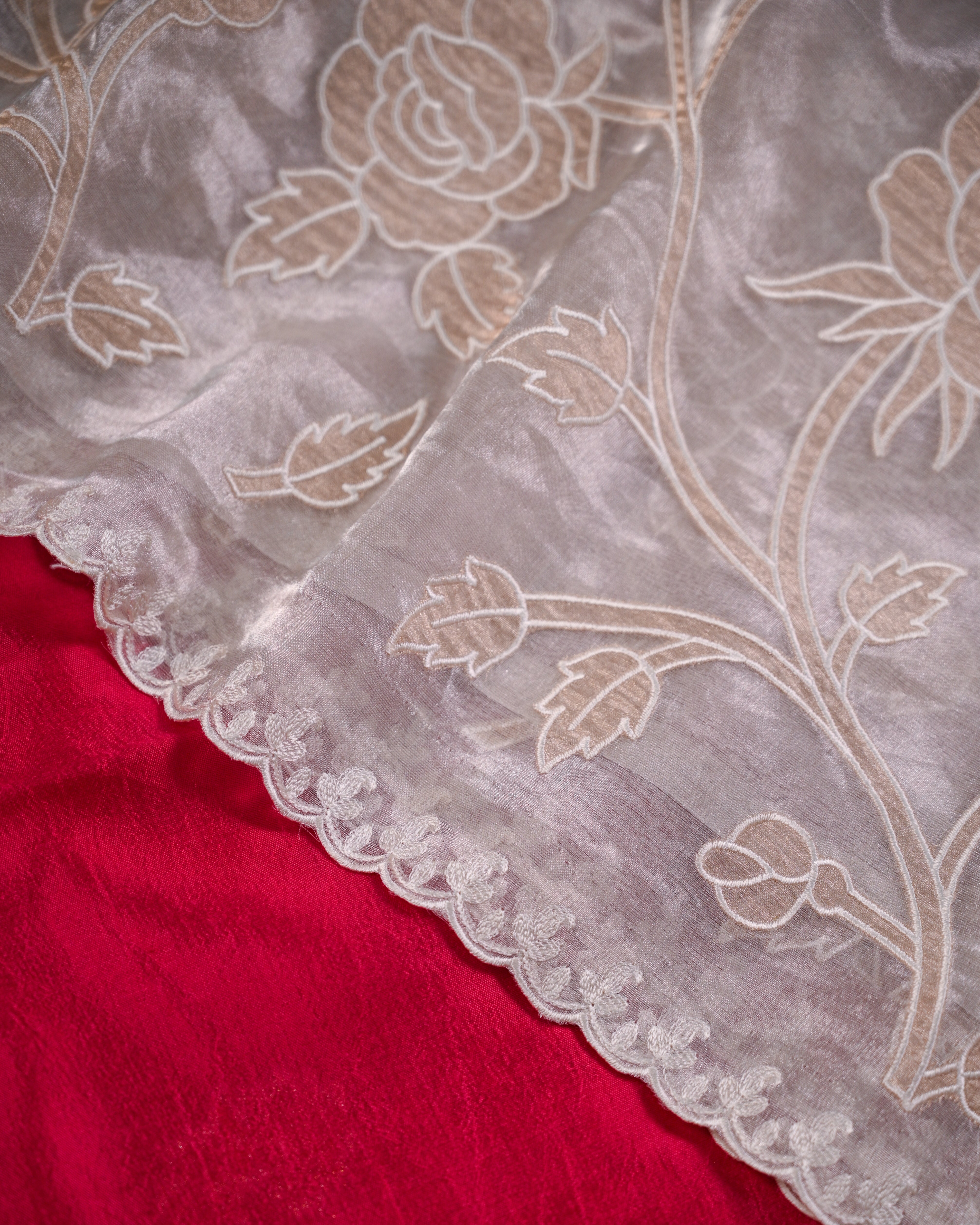 Tissue Silk Saree with Appliqué Work and Brocade Blouse