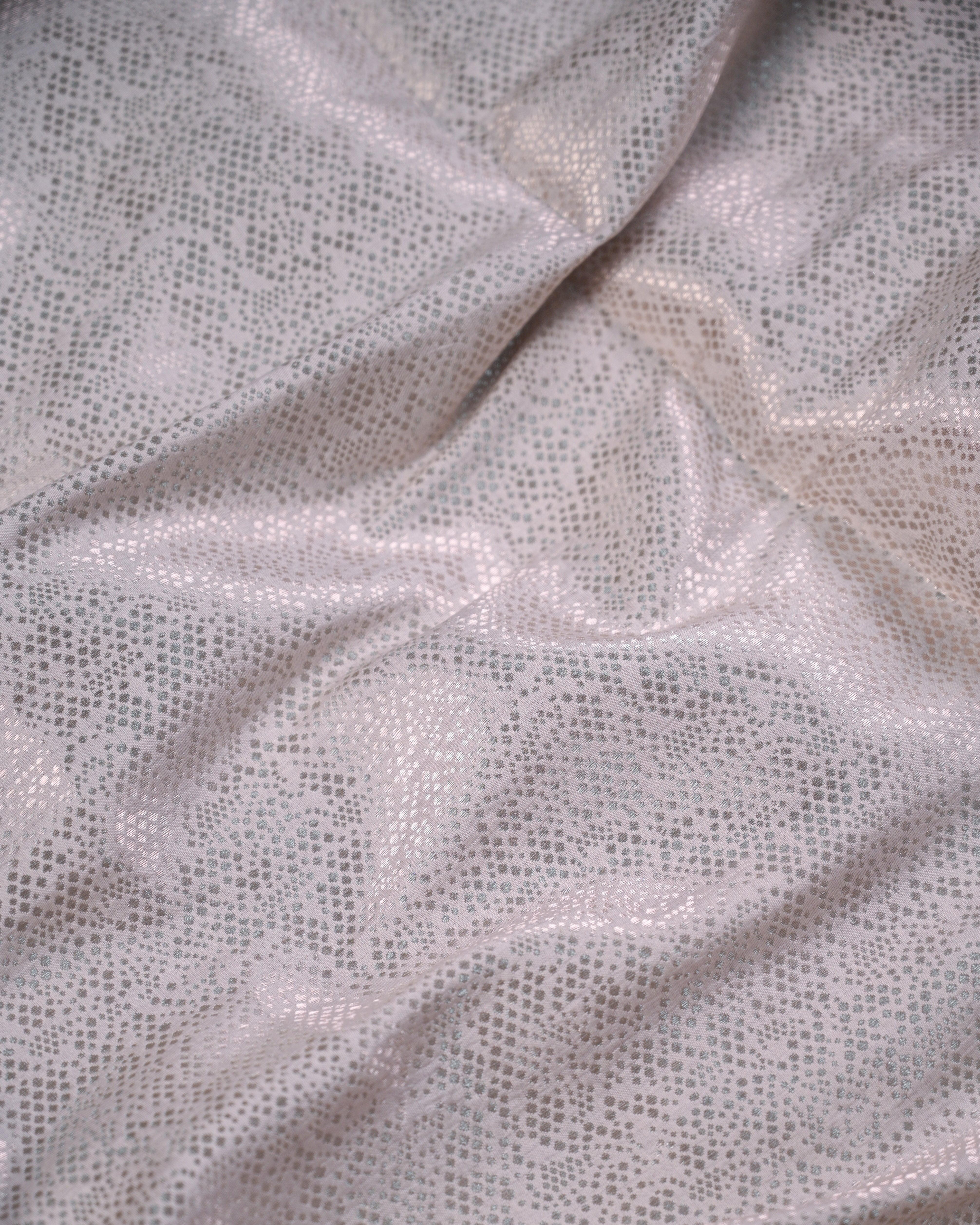 Tissue Silk Saree with Appliqué Work and Brocade Blouse