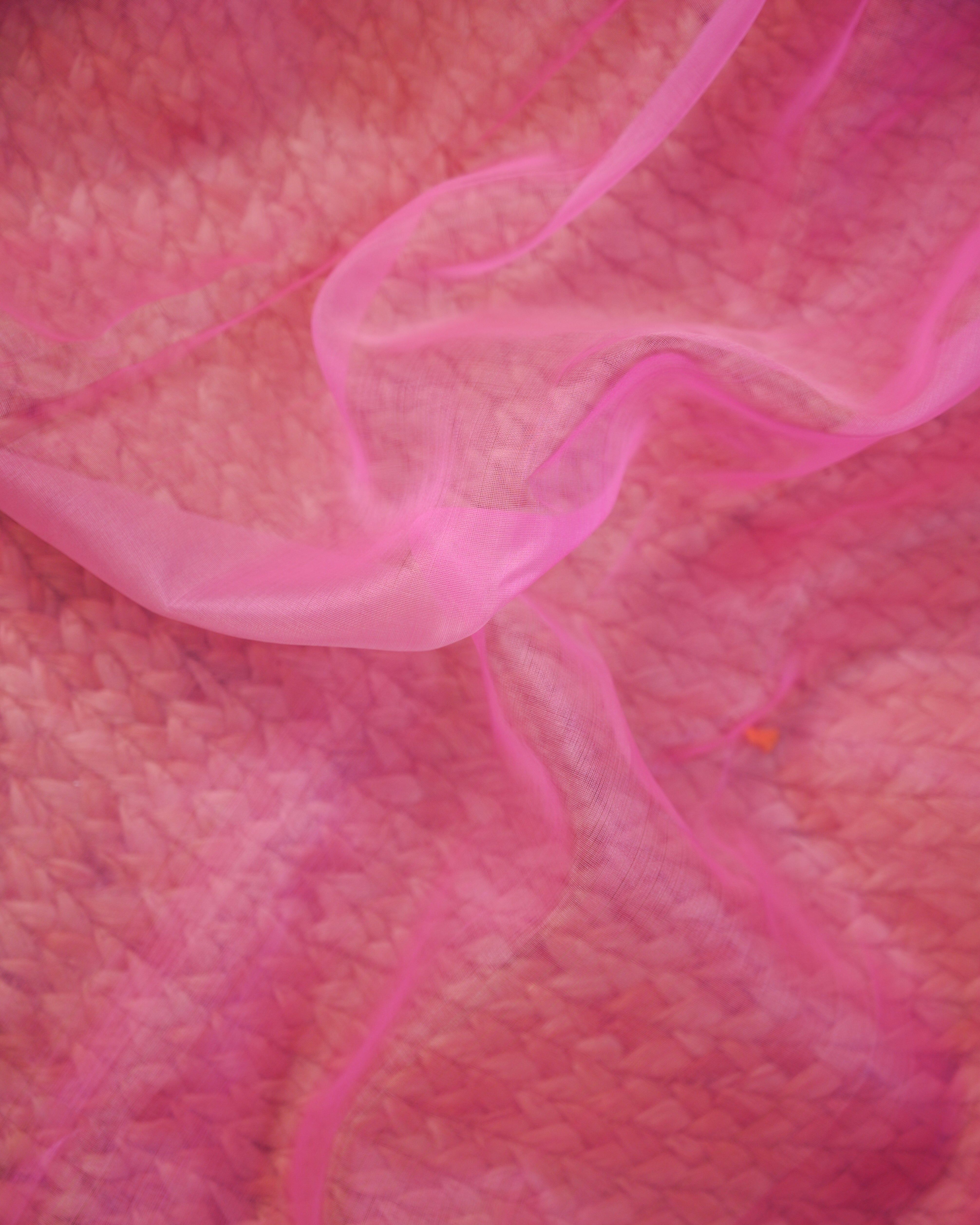 Banarasi Handloom Organza Silk Rangkat Saree