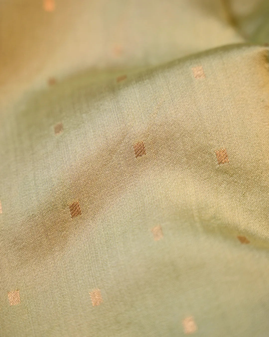 Banarasi Organza digtal Print sarees