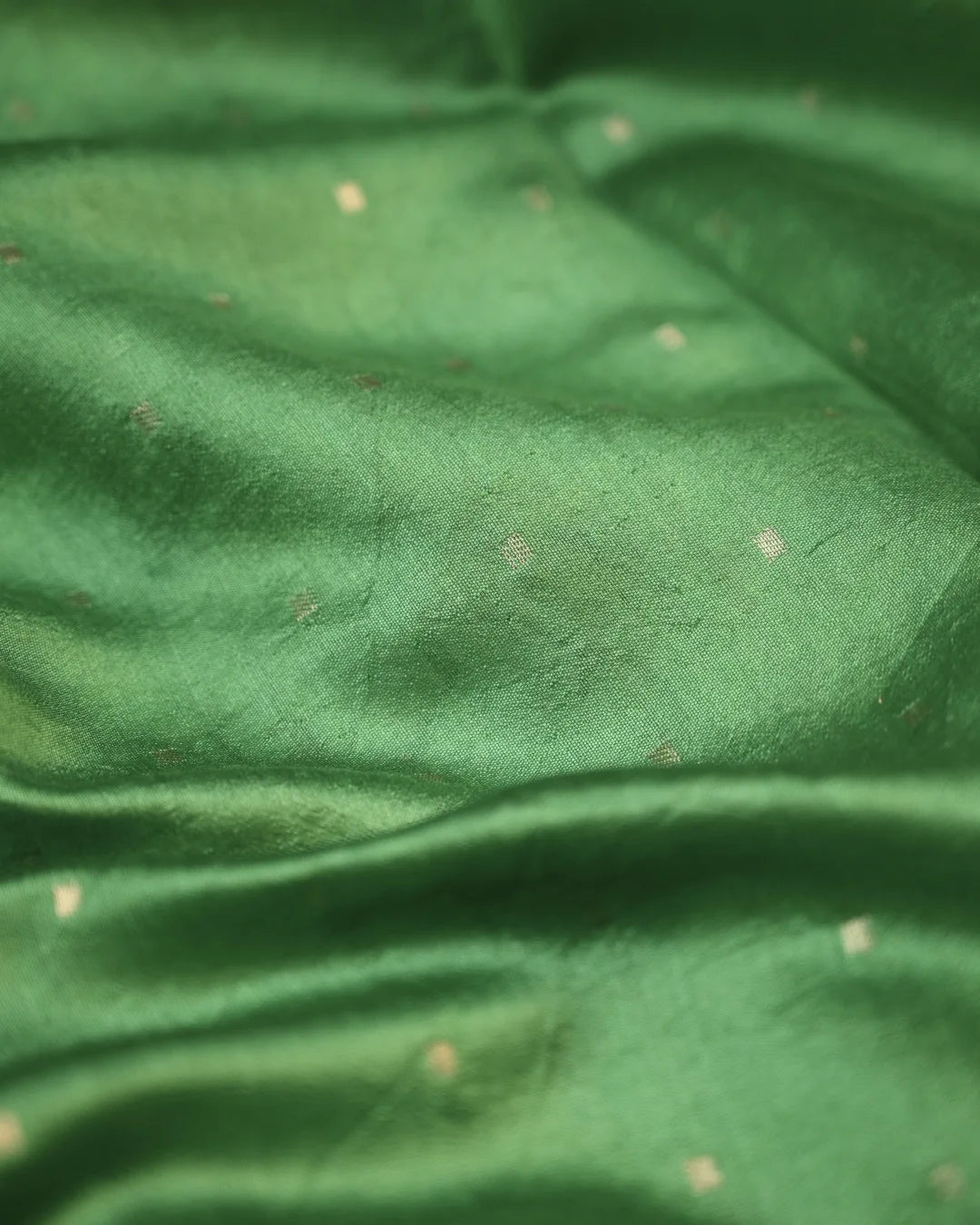 Banarasi Organza digtal Print sarees