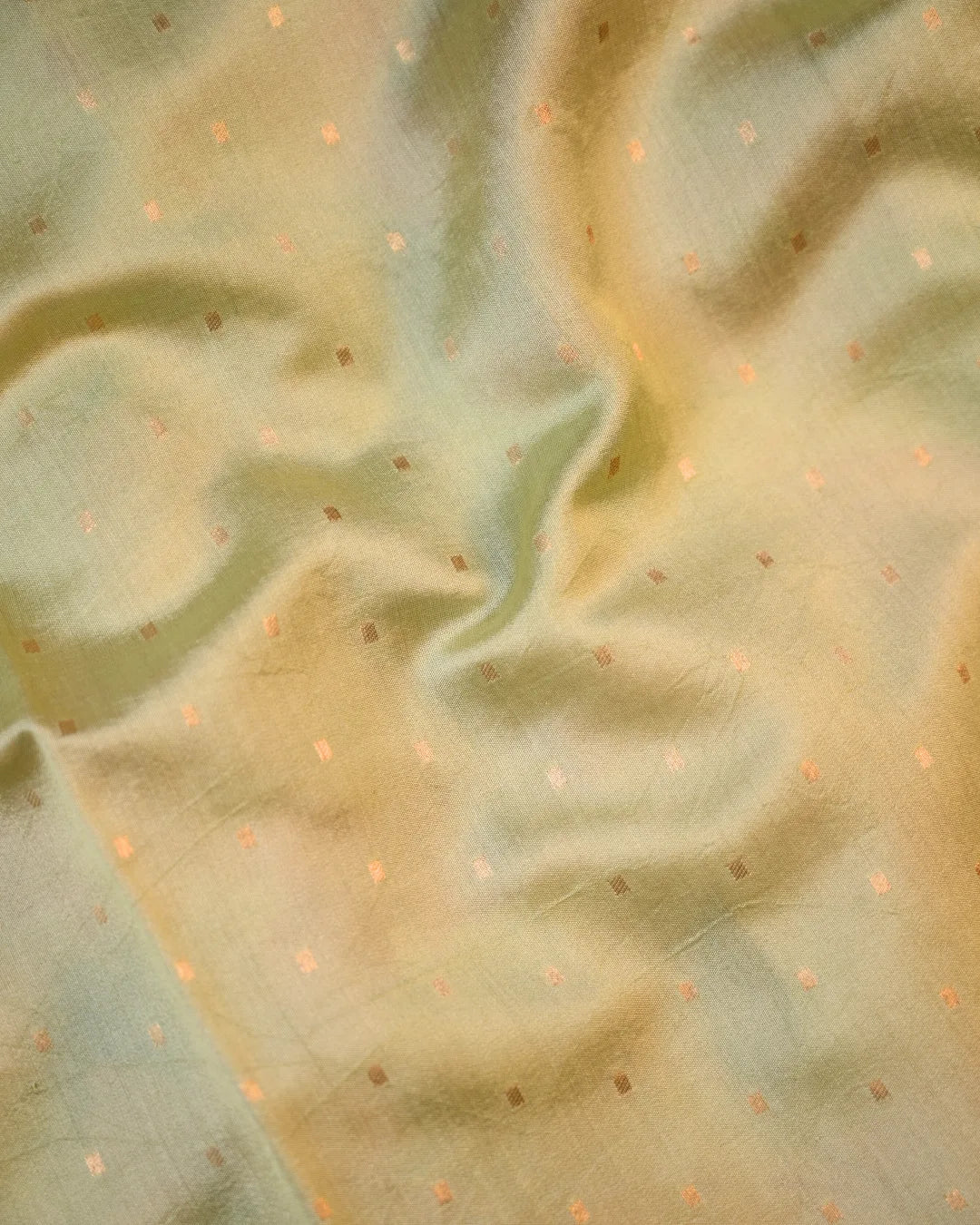 Banarasi Organza digtal Print sarees