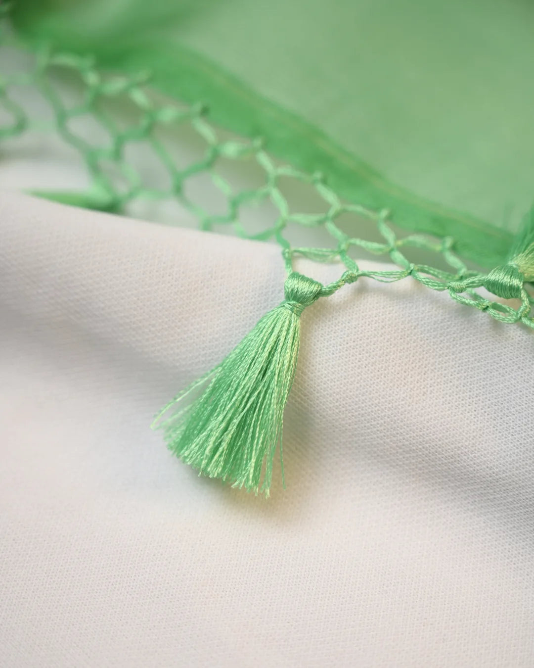 Banarasi Organza digtal Print sarees