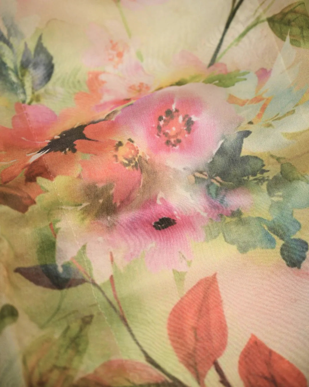 Banarasi Organza digtal Print sarees