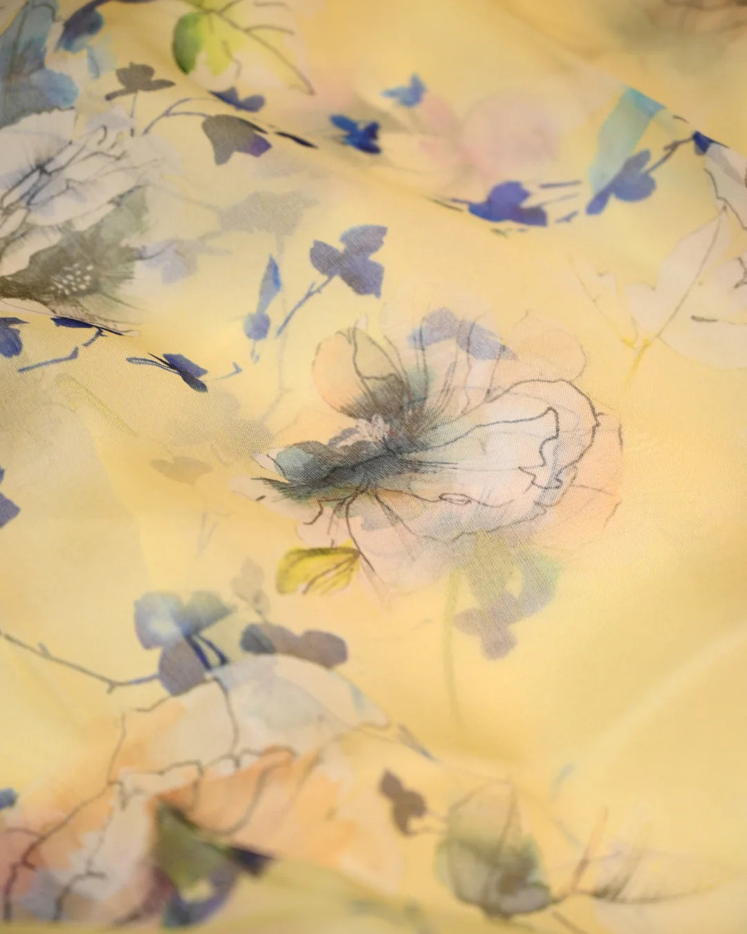 Banarasi Organza digtal Print sarees